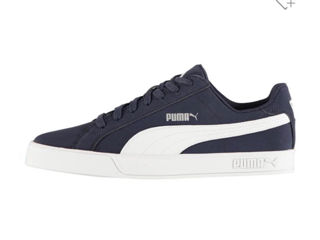 Puma foto 5