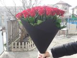 Розы молдавские от foto 7