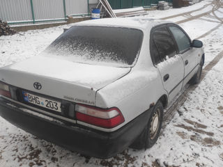 Toyota Corolla foto 5