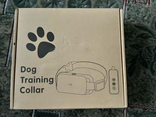 Dog training collar!nou foto 1