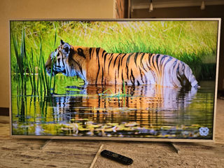 Urgent Philips LED 4K Smart Youtube Mare 165cm (65") foto 9