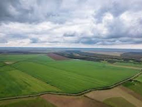 Cumpar teren agricol intravilan/extravilan Calarasi foto 3