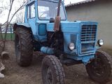 Mtz+tehnika agrikola 4500 foto 2