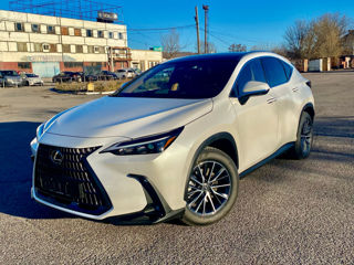 Lexus NX Series foto 3