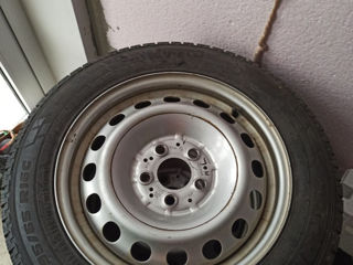 195/65R16C Pirelli stare perfecta