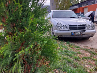 Mercedes E-Class