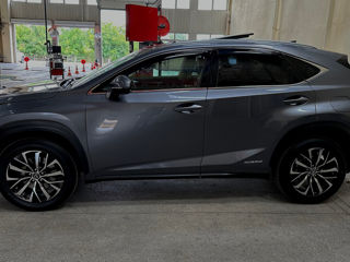 Lexus NX Series