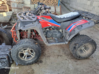 Alpha Moto Atv