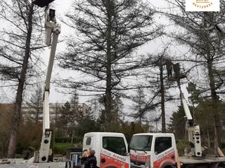 Echipa profesionista de taiere a copacilor, crengilor problematice! Avem toata tehnica necesara! foto 7