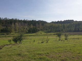 40 соток. Вдоль леса под строительство недалеко от Донченского озера. foto 6