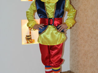 Costume de carnaval foto 6