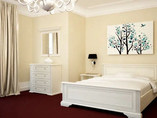 Comode White Silver Pine, ddiverse modele - livrare, credit !!! foto 2