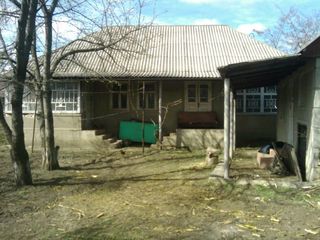 Se vinde casă de piatră în Sănătăuca , Floreşti,(Сенатовка, Сэнэтэука село района Флорешть,торг) foto 2