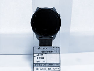 Garmin Forerunner   2290 Lei