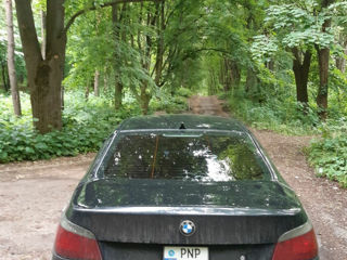 BMW 5 Series foto 8