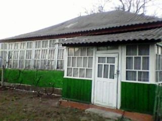 Se vinde casa de locuit la Cuhnesti, Glodeni foto 1
