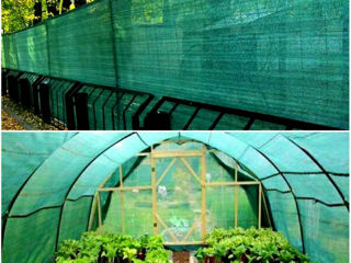 Panouri de perete verzi artificiale/Искусственные зеленые стеновые панели. foto 18