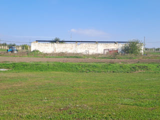 Casa, depozite,  teren 6.7ha+ livada de nuci+sistem fotovoltaic foto 4