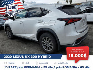 Lexus NX Series foto 2