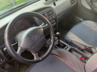 Nissan Primera foto 4