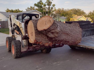 Bobcat excavator servicii mecanizate foto 2