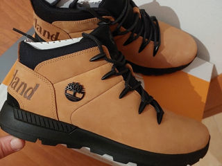 Timberland foto 6