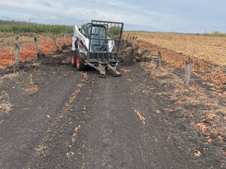 Bobcat, camioane, miniexcavator. foto 8