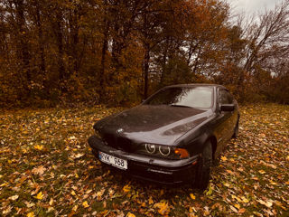 BMW 5 Series foto 4