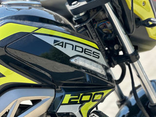 Viper Andes foto 5