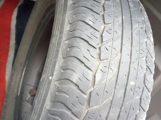 265х65х17  Dunlop  4  Ската 1300 лей foto 2