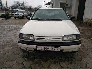 Nissan Primera foto 3