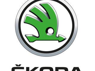 Skoda ремонт мкпп foto 2