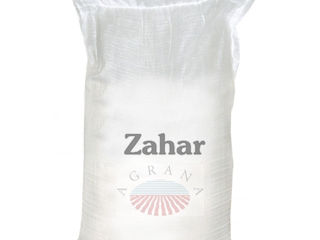 Zahar