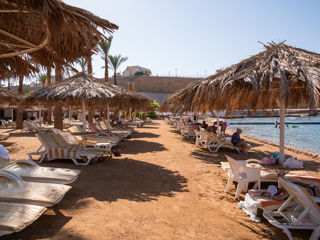 Seti Sharm Resort 4 - Египет, Шарм-эль-Шейх, бухта Шарм Эль Майя. foto 8