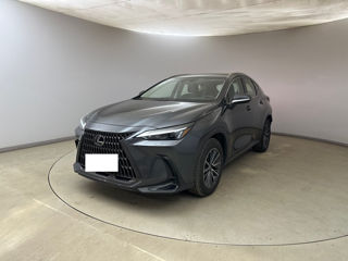 Lexus NX Series