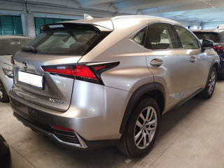 Lexus NX Series foto 3