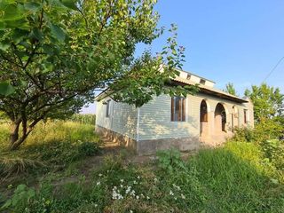 Se vinde casă in Satul Alexandru Cel Bun R. Soroca foto 3