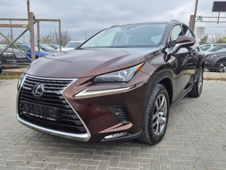 Lexus NX Series foto 3