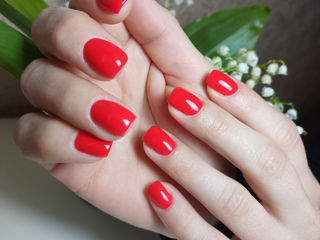 Alungirea unghilor +shellac calitativ /наращивание ногтей : коррекция ;лак-гель    чеканы foto 8