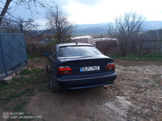 BMW 3 Series foto 4