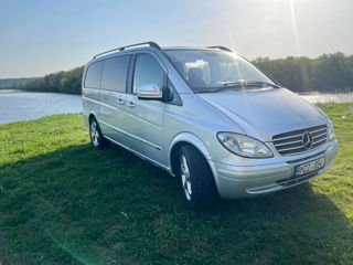 Mercedes Viano foto 8