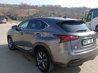 Lexus NX Series foto 3