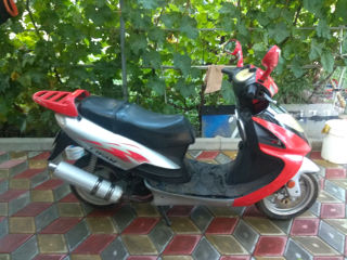 Lifan T8--150 cm foto 7