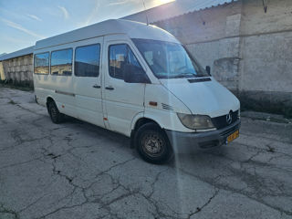 Mercedes Sprinter 313 foto 2