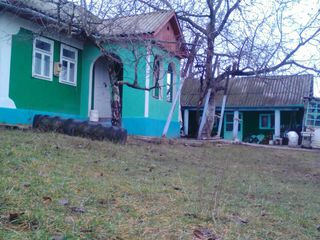 casa si teren agricol  in zona ecologica ( 300 metri de la nistru , 200 metri de la padure) foto 1