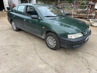 Nissan Primera