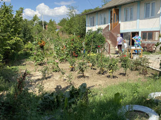 Casa trainica in Malaestii