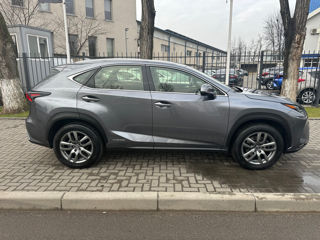 Lexus NX Series foto 4