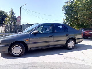 Nissan Primera foto 3