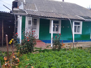Urgent se vinde casă de locuit în satul Gașpar, raionul Edineț!!! foto 4